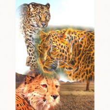 ZOO GREETING CARD On the Prowl